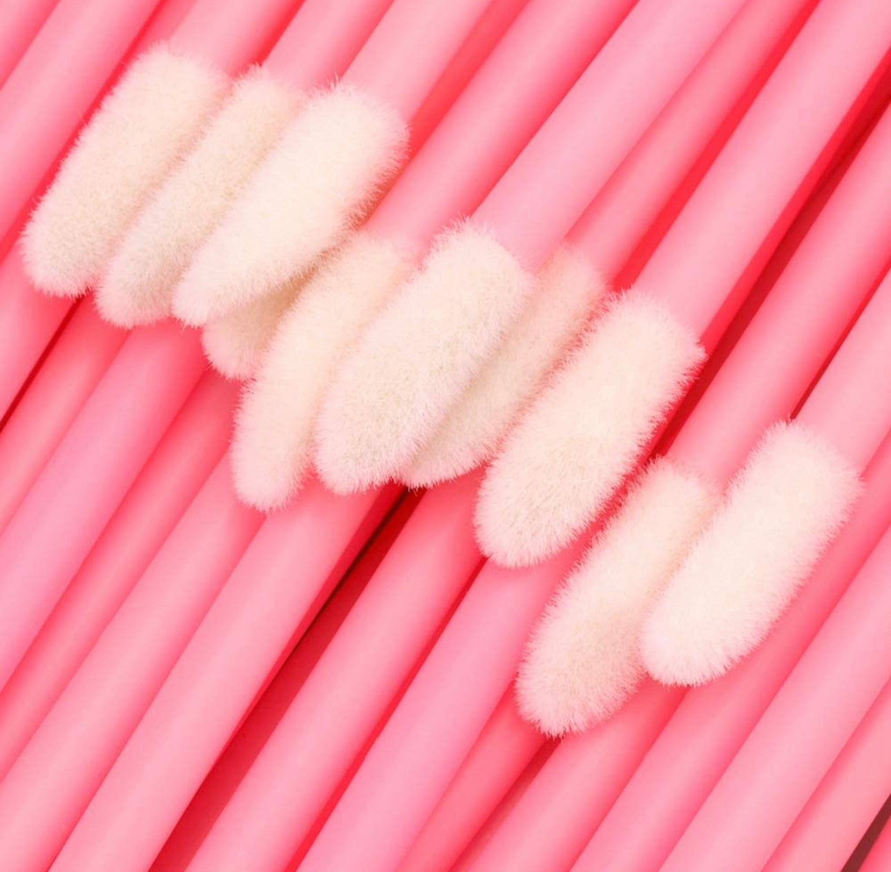 Lip Brushes